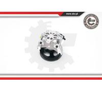 Pompa servosterzo idraulico con puleggia 10SKV188 ESEN SKV per FORD