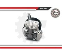 Pompa servosterzo idraulico con puleggia 10SKV215 ESEN SKV per FORD S-MAX