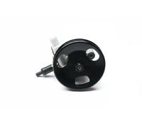 Pompa servosterzo idraulico con puleggia 10SKV228 ESEN SKV per MITSUBISHI L200