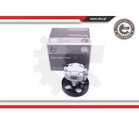 Pompa servosterzo idraulico con puleggia 10SKV254 ESEN SKV per FORD MAZDA