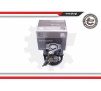 Pompa servosterzo idraulico con puleggia 10SKV260 ESEN SKV per FORD