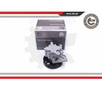 Pompa servosterzo idraulico con puleggia 10SKV271 ESEN SKV per MERCEDES-BENZ CLS