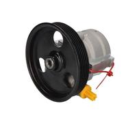 Pompa servosterzo idraulico con puleggia 55.3105 LAUBER per RENAULT DACIA