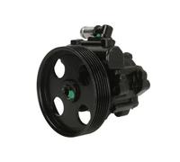 Pompa servosterzo idraulico con puleggia cinghia Poly-V 55.0017 LAUBER per FIAT