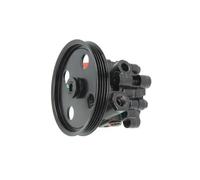 Pompa servosterzo idraulico con puleggia cinghia Poly-V 55.0052 LAUBER