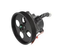 Pompa servosterzo idraulico con puleggia cinghia Poly-V 55.0356 LAUBER