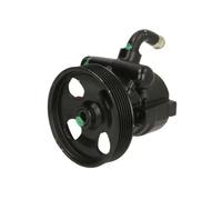 Pompa servosterzo idraulico con puleggia cinghia Poly-V 55.0362 LAUBER