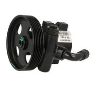 Pompa servosterzo idraulico con puleggia cinghia Poly-V 55.0363 LAUBER