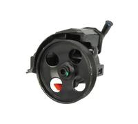 Pompa servosterzo idraulico con puleggia cinghia Poly-V 55.0377 LAUBER