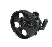 Pompa servosterzo idraulico con puleggia cinghia Poly-V 55.0386 LAUBER