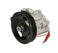 Pompa servosterzo idraulico con puleggia cinghia Poly-V 55.0668 LAUBER