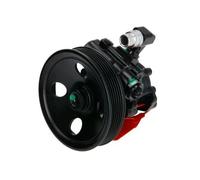 Pompa servosterzo idraulico con puleggia cinghia Poly-V 55.0979 LAUBER