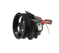 Pompa servosterzo idraulico con puleggia cinghia Poly-V 55.1162 LAUBER per FORD
