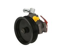 Pompa servosterzo idraulico con puleggia cinghia Poly-V 55.1244 LAUBER per FORD