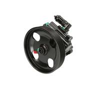 Pompa servosterzo idraulico con puleggia cinghia Poly-V 55.1753 LAUBER