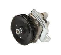 Pompa servosterzo idraulico con puleggia cinghia Poly-V 55.1910 LAUBER