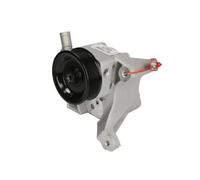 Pompa servosterzo idraulico con puleggia cinghia Poly-V 55.2201 LAUBER per FIAT