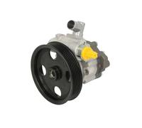 Pompa servosterzo idraulico con puleggia cinghia Poly-V 55.2426 LAUBER