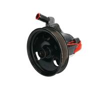 Pompa servosterzo idraulico con puleggia cinghia Poly-V 55.3572 LAUBER per FORD
