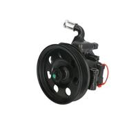Pompa servosterzo idraulico con puleggia cinghia Poly-V 55.3678 LAUBER per FORD