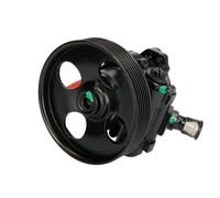 Pompa servosterzo idraulico con puleggia cinghia Poly-V 55.4285 LAUBER per FIAT