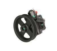 Pompa servosterzo idraulico con puleggia cinghia Poly-V 55.4310 LAUBER