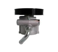 Pompa servosterzo idraulico con puleggia cinghia Poly-V 55.5082 LAUBER