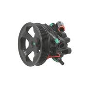 Pompa servosterzo idraulico con puleggia cinghia Poly-V 55.5348 LAUBER