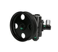 Pompa servosterzo idraulico con puleggia cinghia Poly-V 55.6077 LAUBER