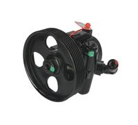 Pompa servosterzo idraulico con puleggia cinghia Poly-V 55.6113 LAUBER per FIAT