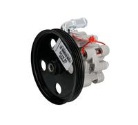 Pompa servosterzo idraulico con puleggia cinghia Poly-V 55.6139 LAUBER