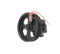 Pompa servosterzo idraulico con puleggia cinghia Poly-V 55.6176 LAUBER