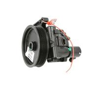 Pompa servosterzo idraulico con puleggia cinghia Poly-V 55.6236 LAUBER