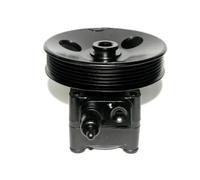 Pompa servosterzo idraulico con puleggia cinghia Poly-V 55.9685 LAUBER