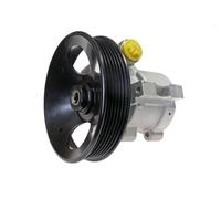 Pompa servosterzo idraulico con puleggia cinghia Poly-V 55.9902 LAUBER per VOLVO
