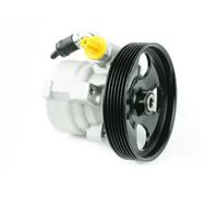 Pompa servosterzo idraulico con puleggia cinghia Poly-V FT36215 FAST per PEUGEOT