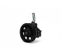 Pompa servosterzo idraulico con puleggia cinghia Poly-V PP095 KAMOKA per FORD
