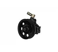 Pompa servosterzo idraulico con puleggia cinghia Poly-V PP096 KAMOKA per FORD