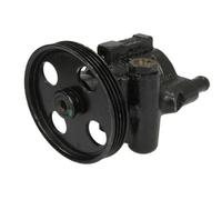 Pompa servosterzo idraulico con puleggia multipla 55.0105 LAUBER per RENAULT