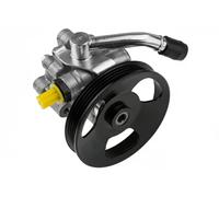 NTY Pompa servosterzo SPW-CH-004 idraulica per Chrysler Sebring 07 Dodge Journey 09 Avenger 07
