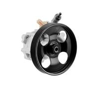 NTY SPW-CT-025 Pompa idraulica, sterzo