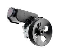 NTY SPW-PL-008 Pompa idraulica, sterzo