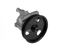 Pompa servosterzo idraulico con puleggia multipla SPW-RE-001 NTY per RENAULT