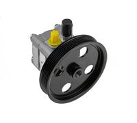 Pompa servosterzo idraulico con puleggia multipla SPW-VV-004 NTY per VOLVO S80 I