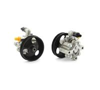 Pompa servosterzo idraulico con puleggia PSP9546 BGA