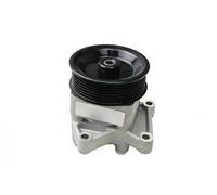 Pompa Idraulica Sterzo Fast FT36234 per Fiat
