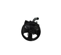 Bosch Pompa servosterzo idraulica K S02 000 047