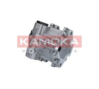 PP176 KAMOKA Pompa idraulica, Sterzo per AUDI,SEAT,SKODA,VW