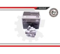 Pompa servosterzo idraulico senza puleggia 10SKV008 ESEN SKV per PEUGEOT RENAULT