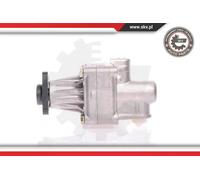 Pompa servosterzo idraulico senza puleggia 10SKV011 ESEN SKV per BMW 3 3 Coupé